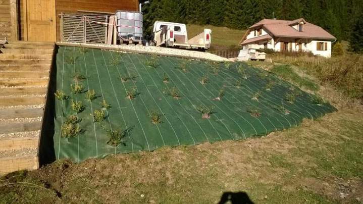 Entretien de jardin Courlaoux